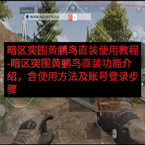暗区突围黄鹂鸟直装使用教程-暗区突围黄鹂鸟直装功能介绍，含使